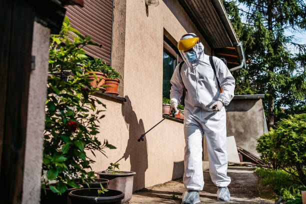 Best Insect Control  in Sunnyslope, WA