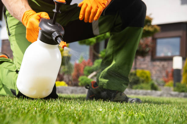 Best Residential Pest Control  in Sunnyslope, WA