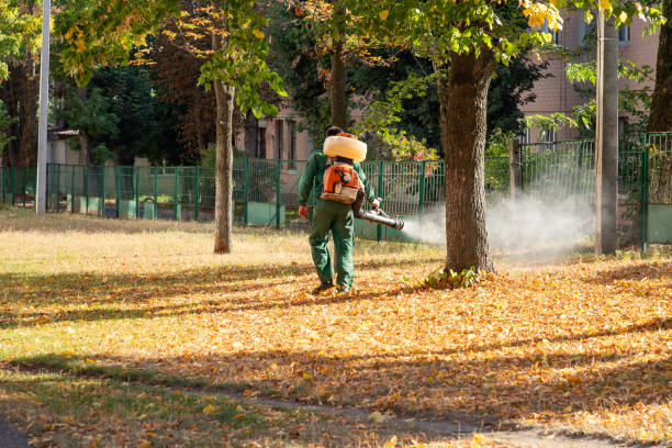 Best Rodent Control Near Me  in Sunnyslope, WA